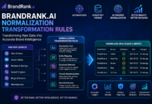 brandrank.ai normalization transformation rules​