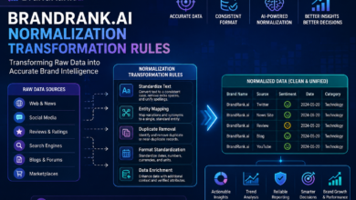 brandrank.ai normalization transformation rules​