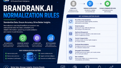 brandrank.ai normalization rules
